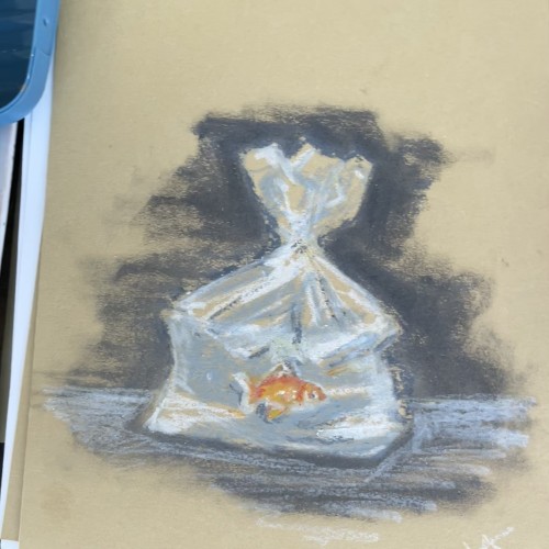 Goldfish