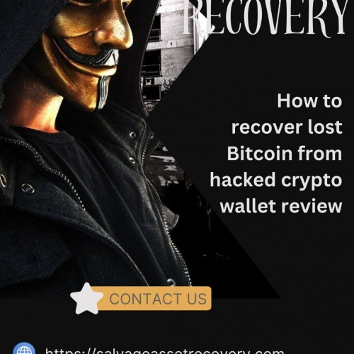 TRACING CRYPTOCURRENCY ASSETS WITH THE HELP OF  SALVAGE ASSET RECOVERY