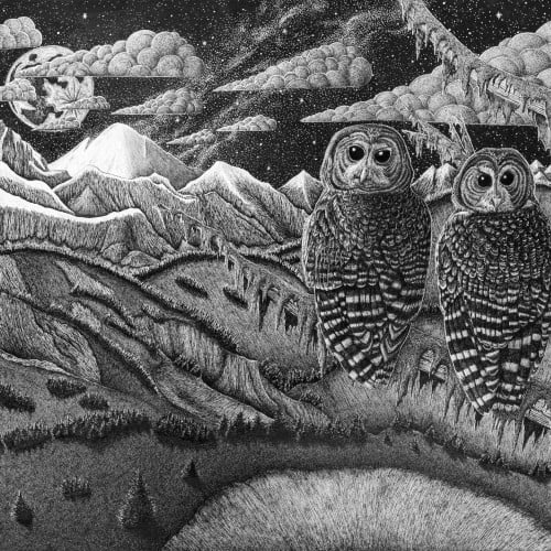 Youre A Hoot