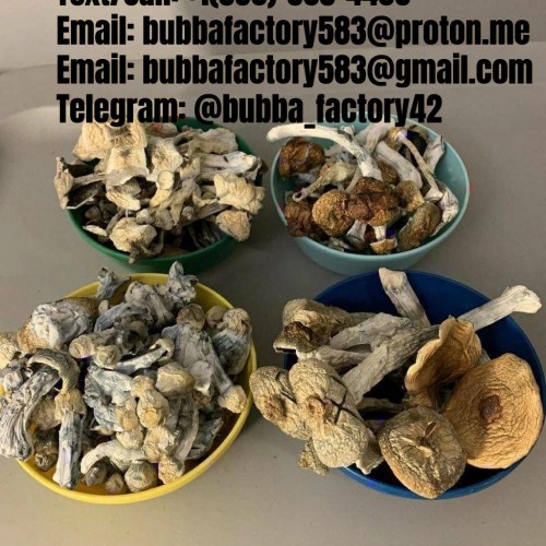 Buy Bulk PSYCHEDELIC,MDMA,DMT Carts, Researched Chemicals WhatsApp:+1(215)-824-5074