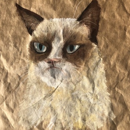 ISO grumpy cat