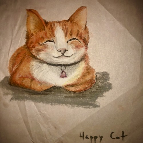ISO happy cat