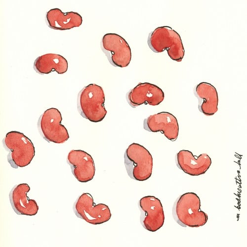 Kidney Beans