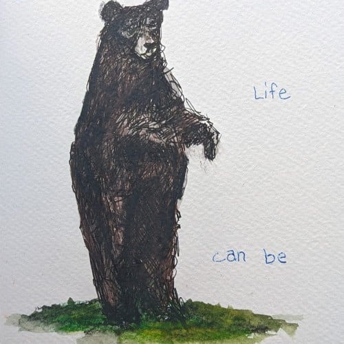 Bear