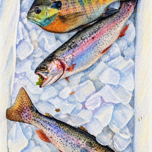 The Kids’ Catch