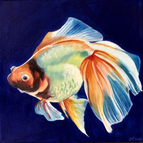 Fanciful Fish