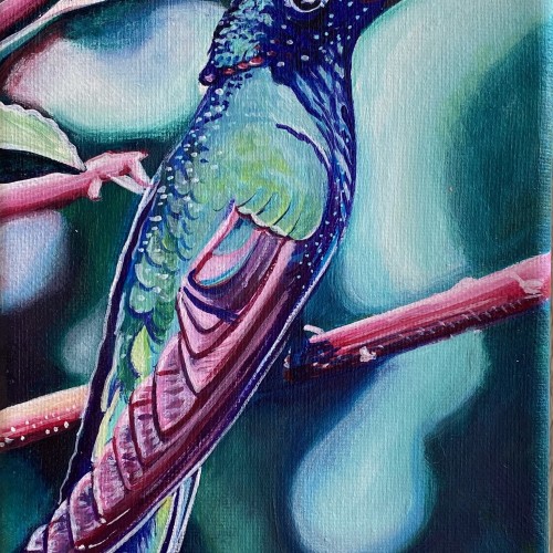 Humble Hummingbird