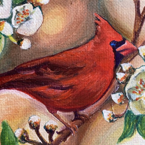 Spring Cardinal