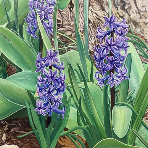 Susan’s Blue Hyacinths