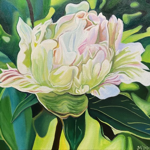 Also Karen’s Peony