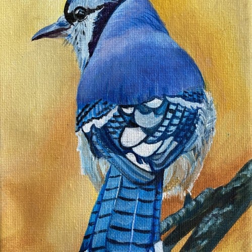 Behind the Blue Jay