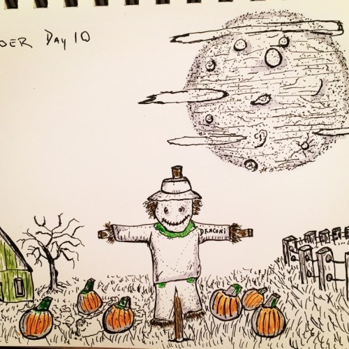 Pumpkin patch