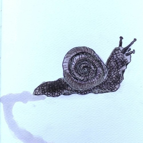 Snail