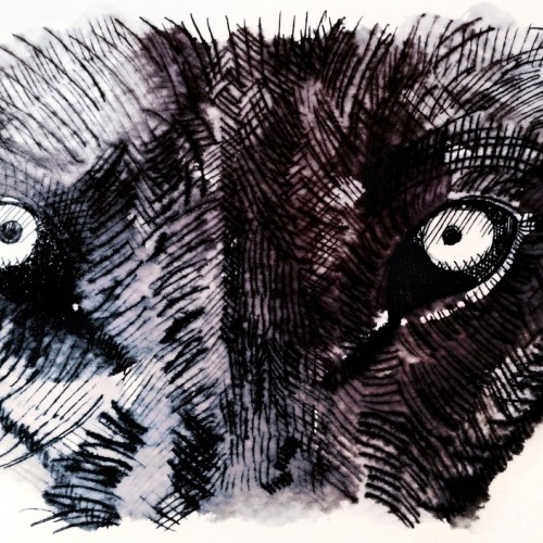 There are two wolves fighting inside of me.