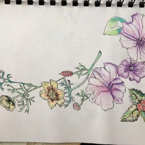 Botanical Study