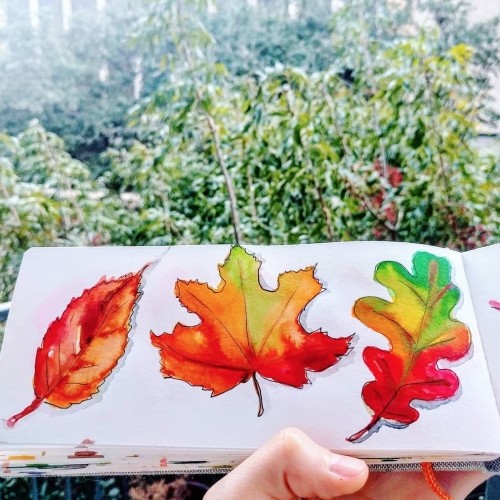 Watercolor Fallen Leaves