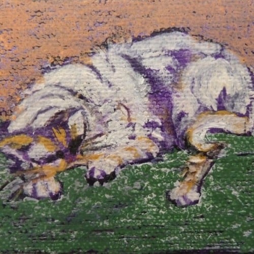70s Cat