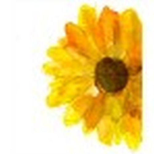 Clare ♥