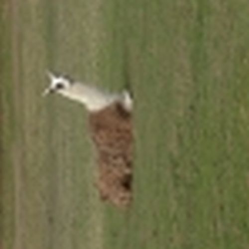 Lucie Madeleine Collett