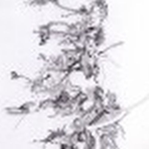 Tamaraukon Agbegha