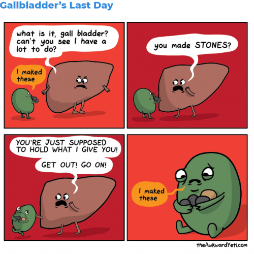 The Awkward Yeti