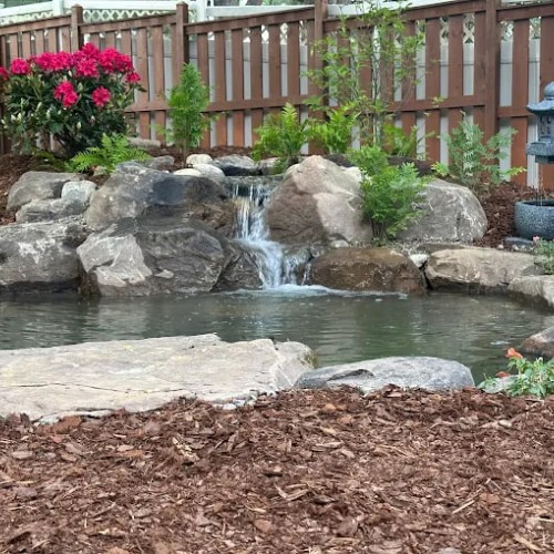 Oasis Water Gardens
