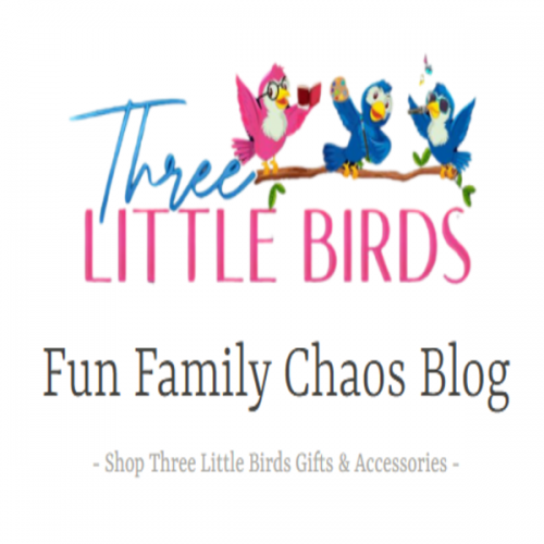Fun Family Chaos